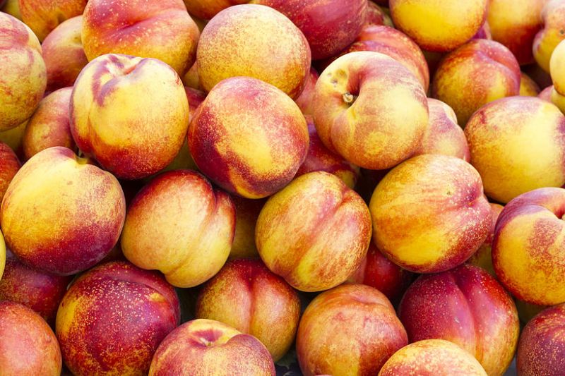 Yellow Nectarines
