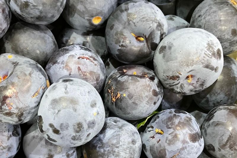 Black Amber Plums