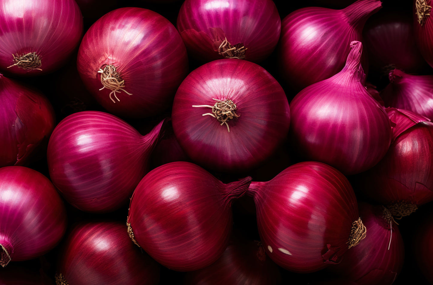 Red Onions (OS)