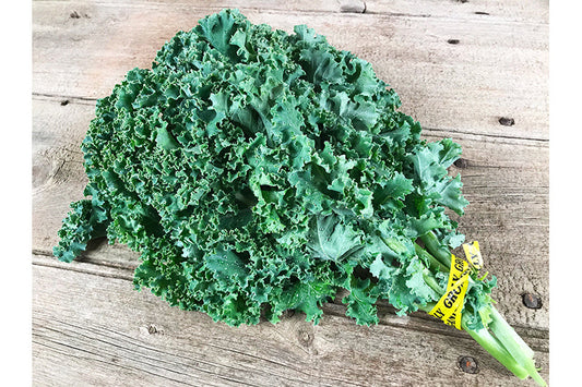 Green Curly Kale (OS)