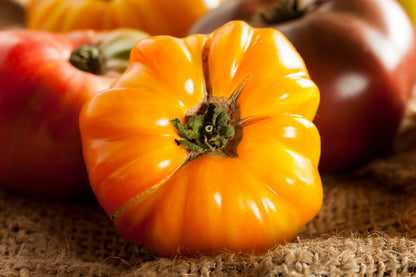 Heirloom Tomatoes (OS)