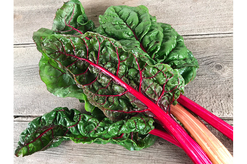 Rainbow Swiss Chard (OS)