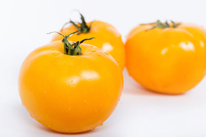 Yellow Slicing Tomatoes