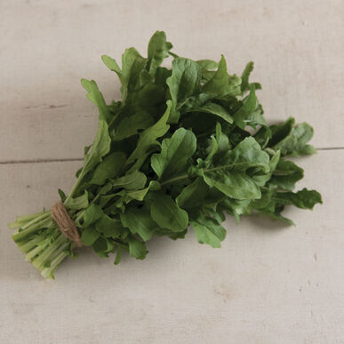 Chef's Harvest Arugula