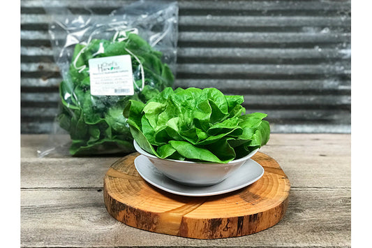 Chef's Harvest Butterhead Lettuce