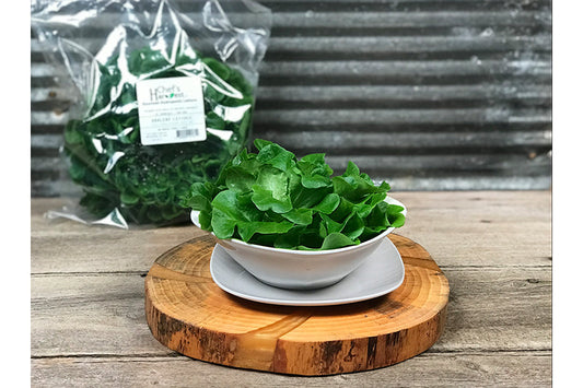 Chef's Harvest Oak Leaf Lettuce
