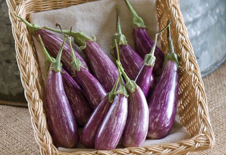 Fairytale Petite Eggplant