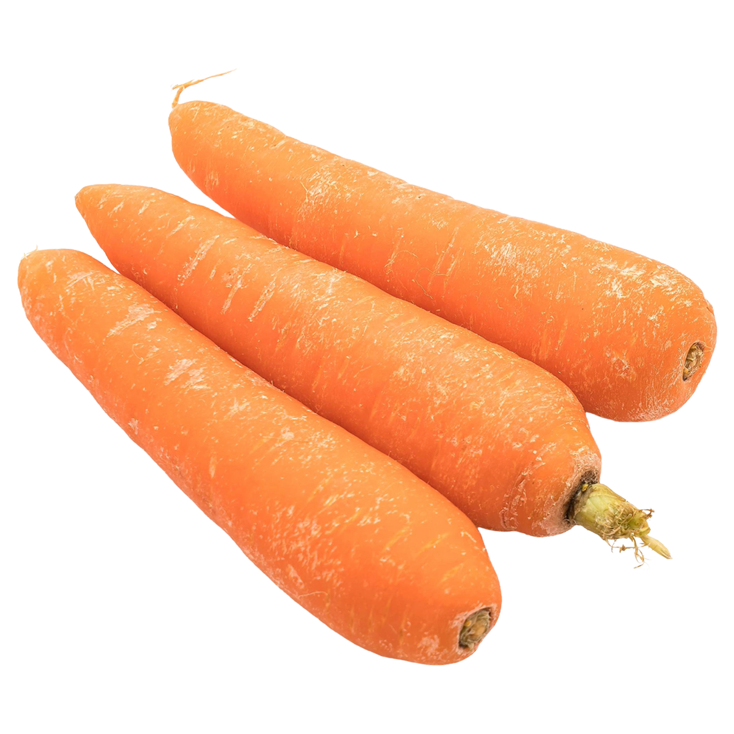 Orange Carrots (OS)