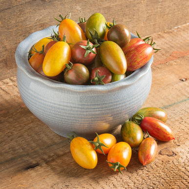 Artisan Cherry Tomatoes Mix