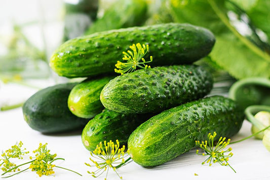 Pickling Cucumbers