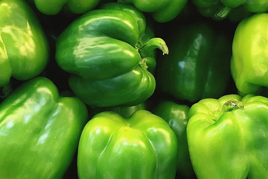 Green Bell Peppers (OS)