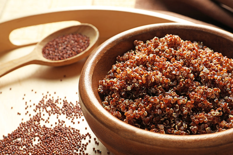 Stutzman Farms Organic Quinoa Red