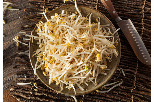 Sunsprout Mung Bean Sprouts