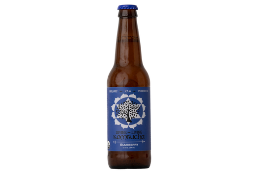 Divine Living Kombucha Blueberry