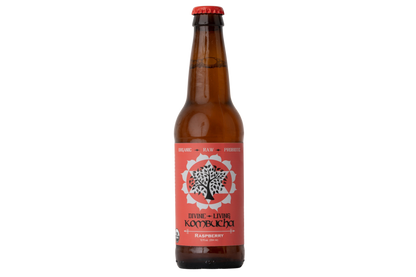 Divine Living Kombucha Raspberry