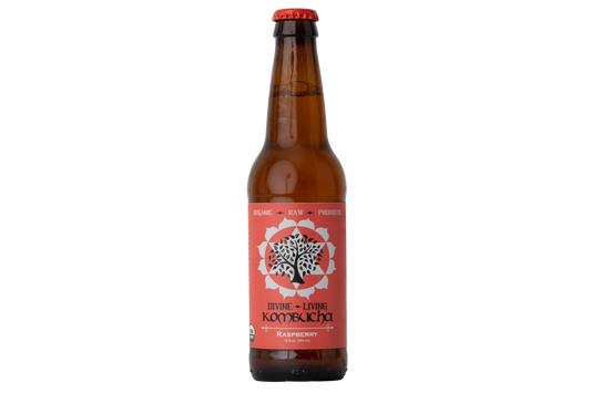 Divine Living Kombucha Raspberry