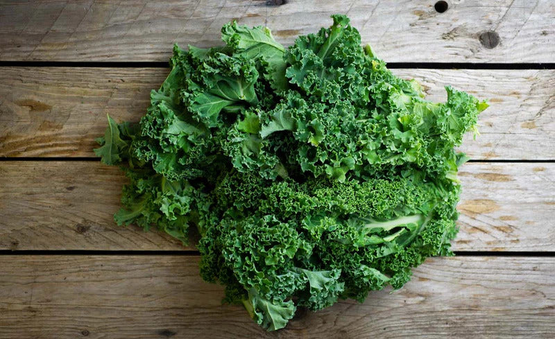 Chef's Harvest Hydro Kale