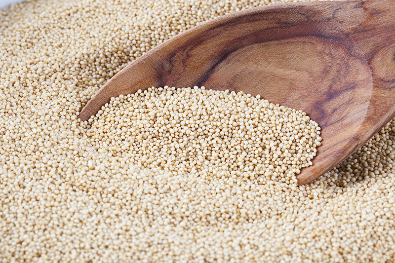 Stutzman Farms Organic Amaranth White