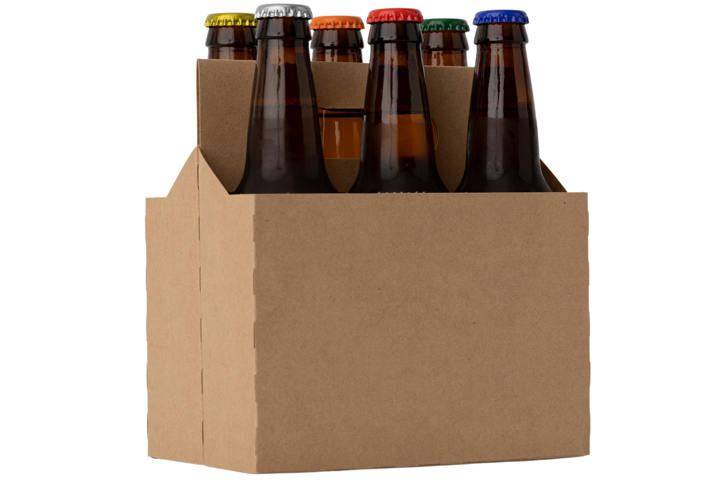 Divine Living Kombucha 6 Pack