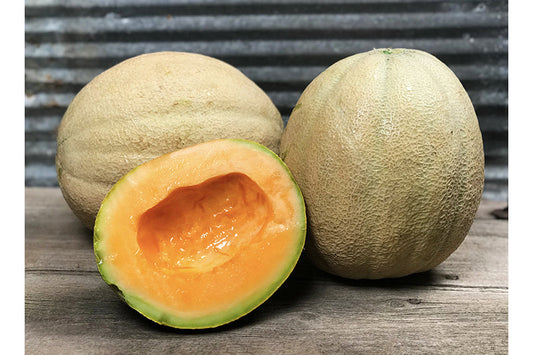 Sugar Cube Cantaloupe