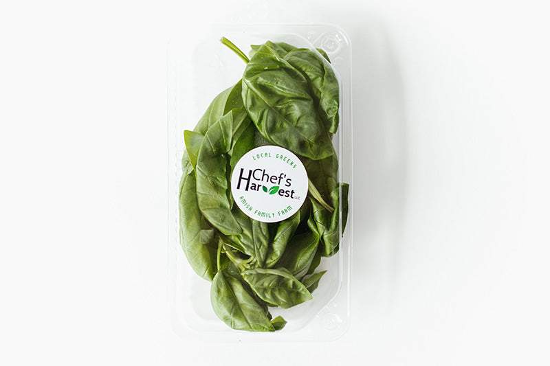 Chef's Harvest Genovese Basil