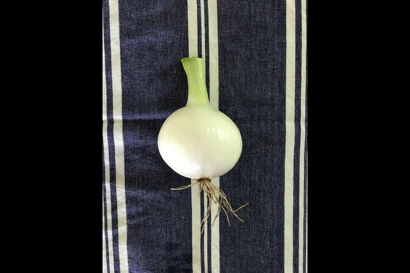 Candy Onions