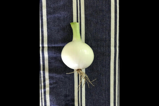 Candy Onions
