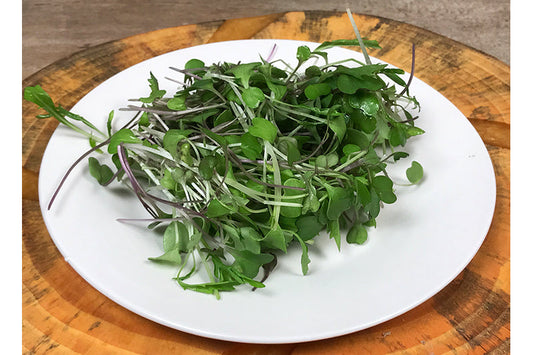 Chef's Harvest Micros Mild Mix