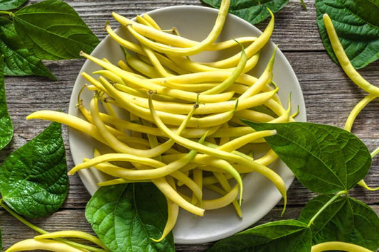 Yellow Beans