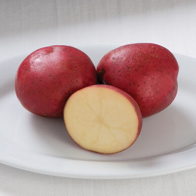 New Red Potatoes