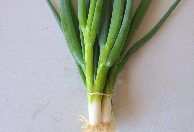 Scallions (OS)