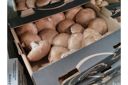 Pennsylvania Portobello Mushrooms Organic