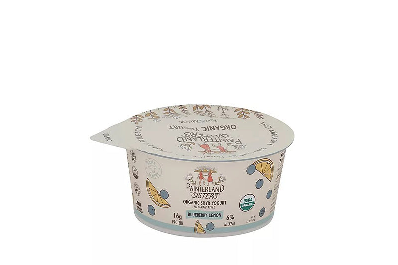 Painterland Sisters Organic Skyr Yogurt Blueberry Lemon