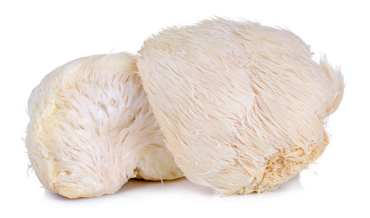 New Path Farm Local Lions Mane