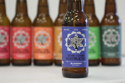 Divine Living Kombucha Case of 24