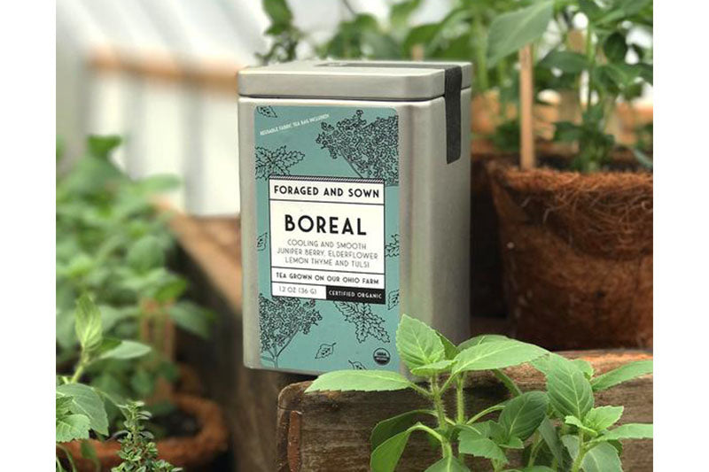 Foraged & Sown Tea Blends