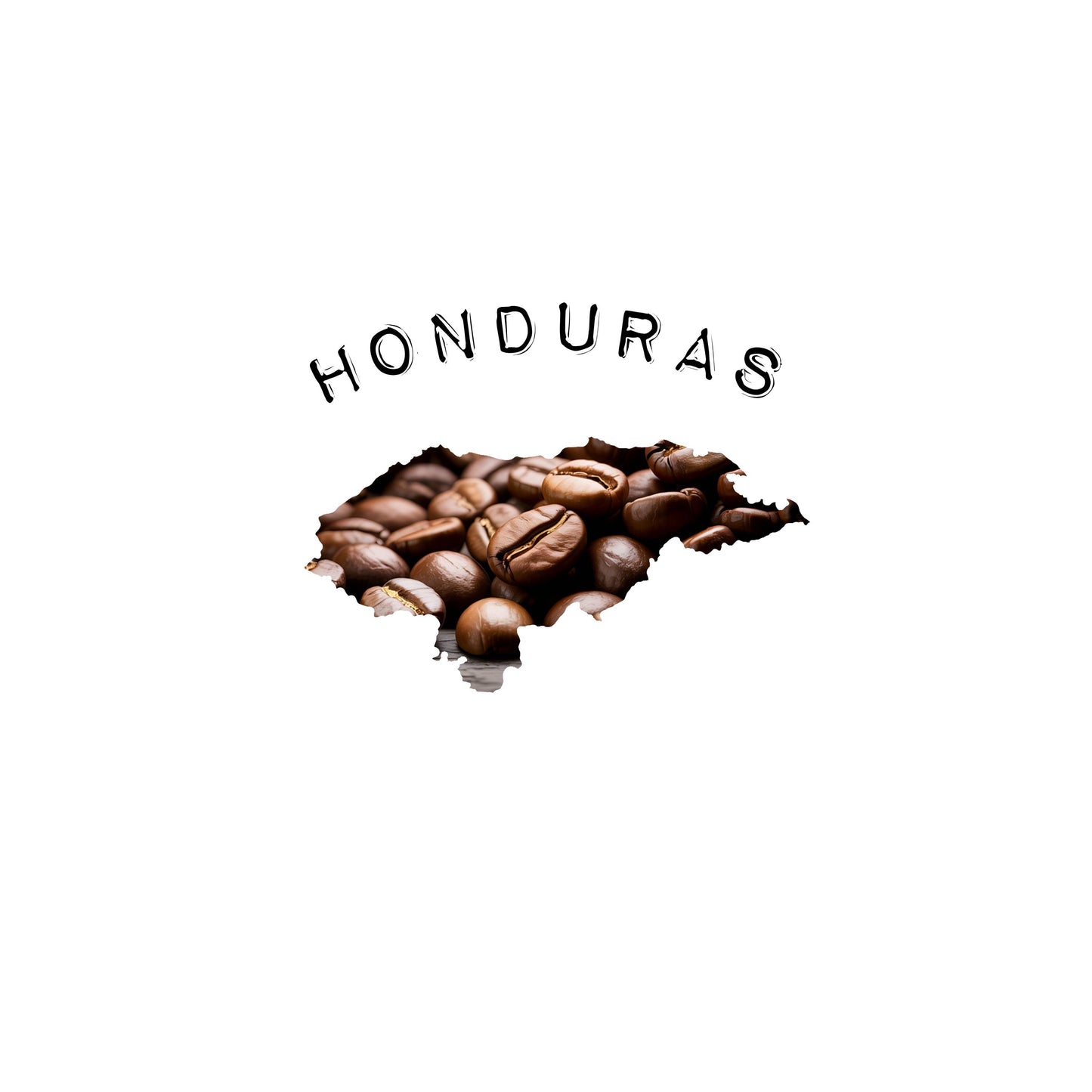 Fort Findlay Organic Fair Trade Honduras Coffee
