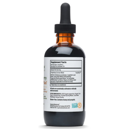 Equinox Botanicals Elderberry