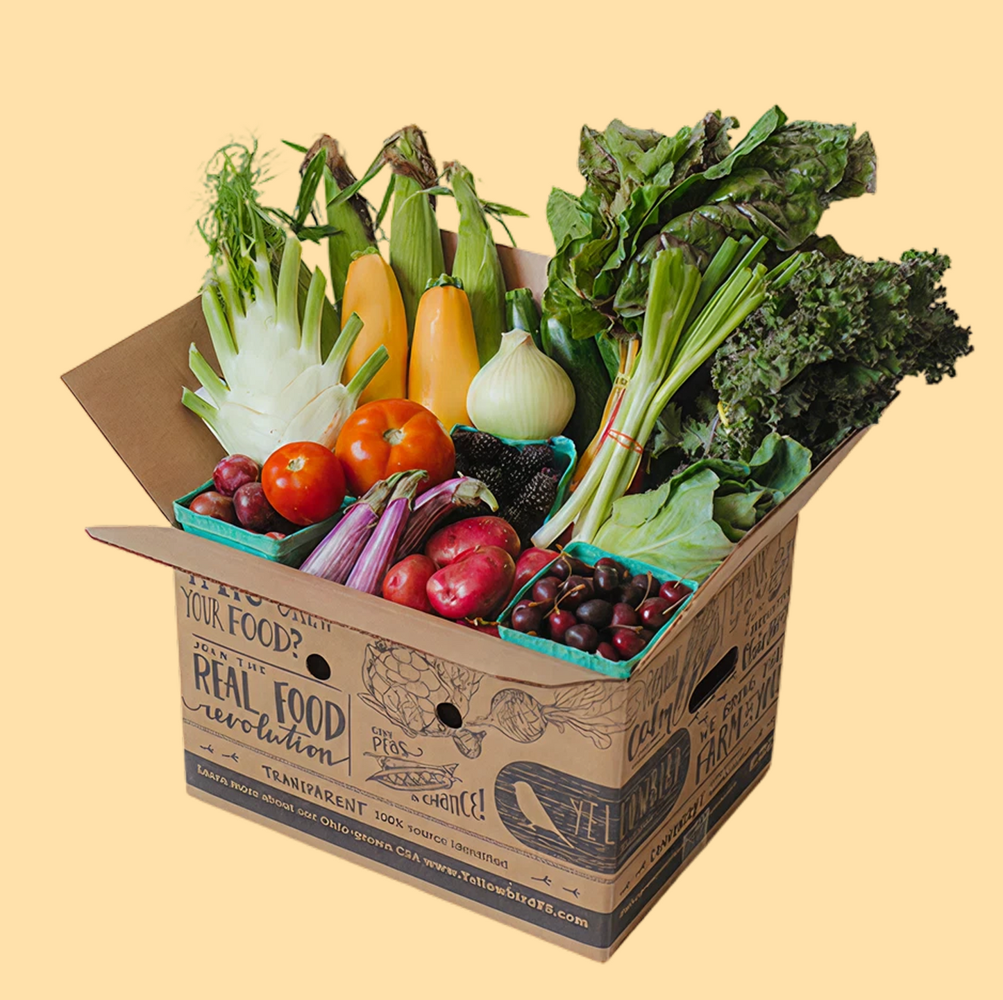 Flexi-Box