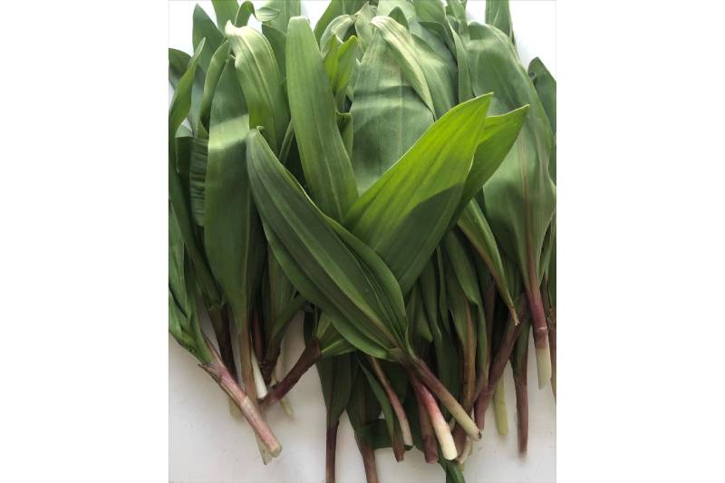 Tannenbaum Wild Foods Ramp Salt