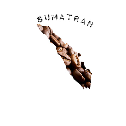 Fort Findlay Organic Fair Trade Sumatra Coffee