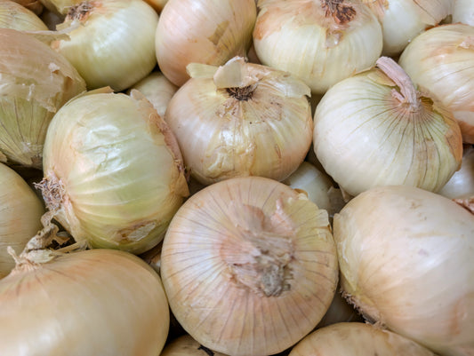 Candy Onions (Case)