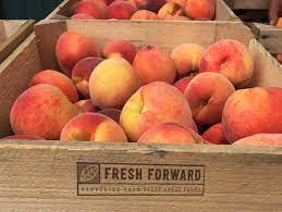 Fresh Forward Farms