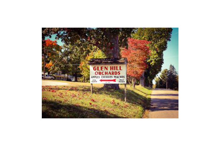 Glen Hill Orchard