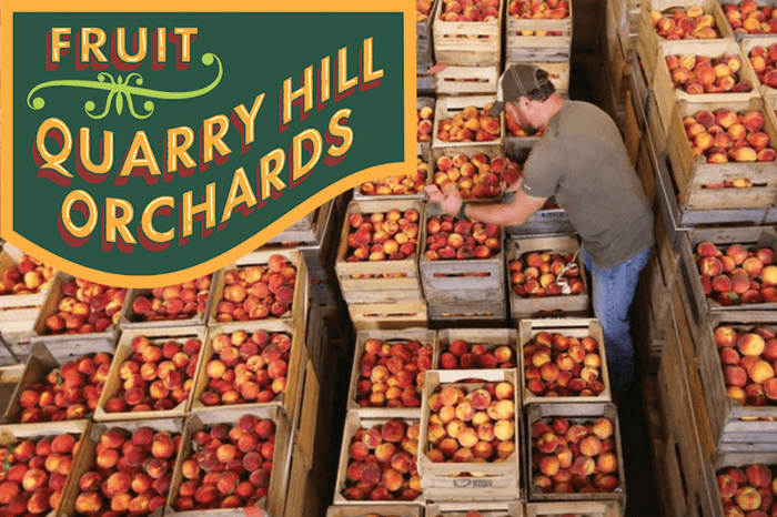 Quarry Hill Orchard