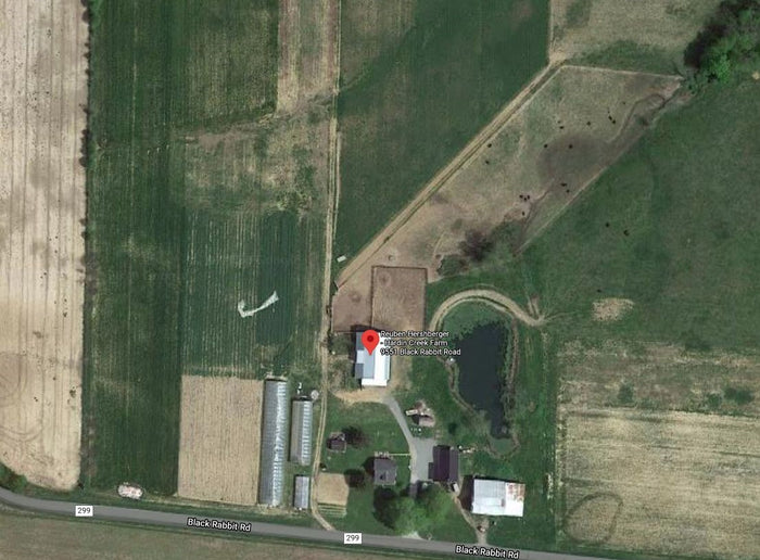 Reuben Hershberger - Hardin Creek Farm