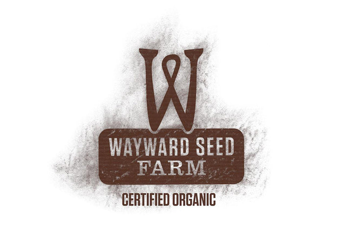 Wayward Seed Farm