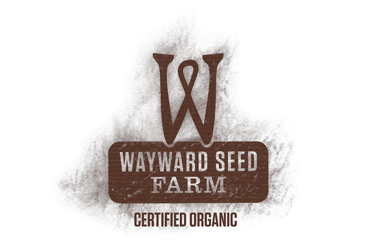 Wayward Seed Farm