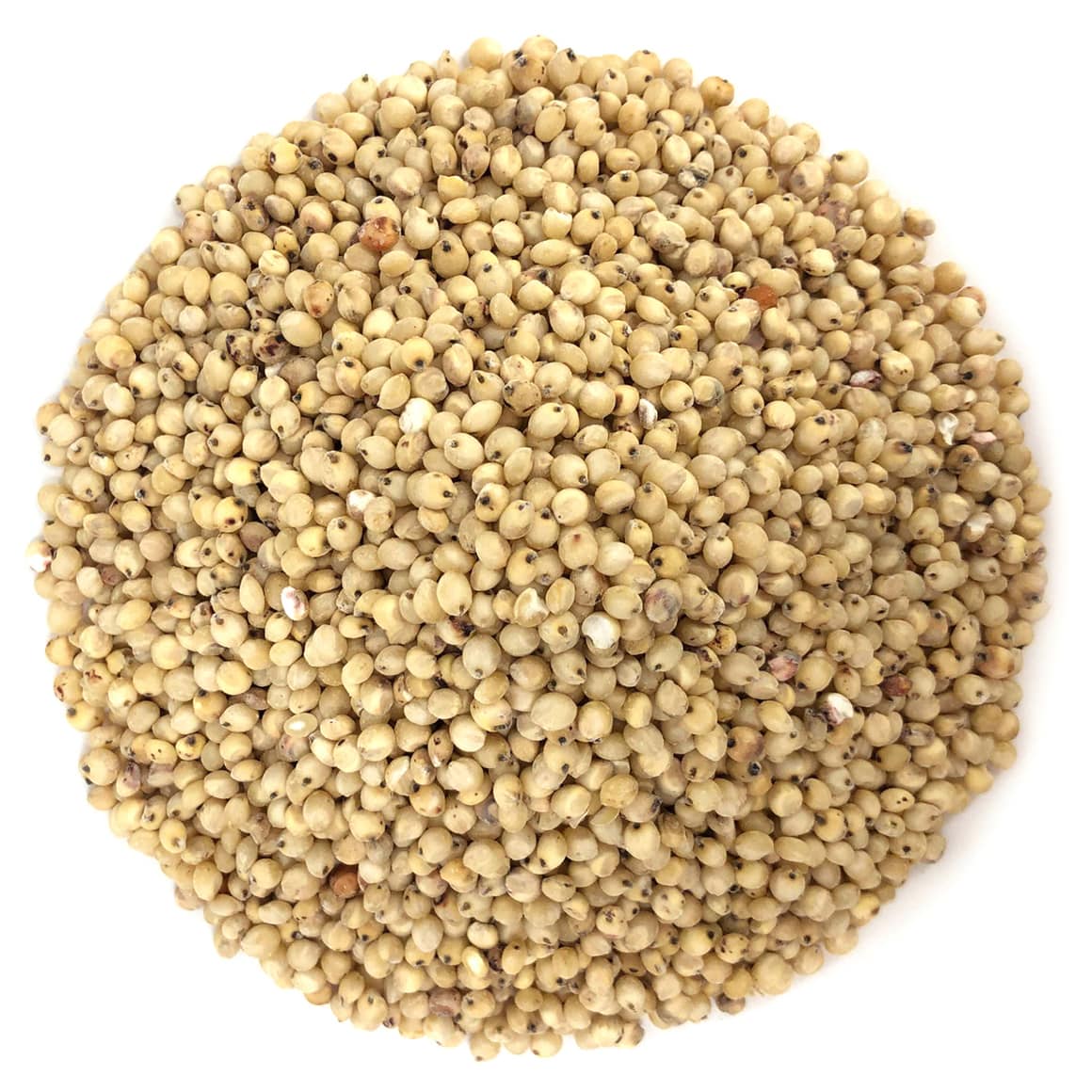 Stutzman Farms Organic Sorghum Grain