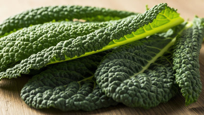 Lacinato Kale (OS)